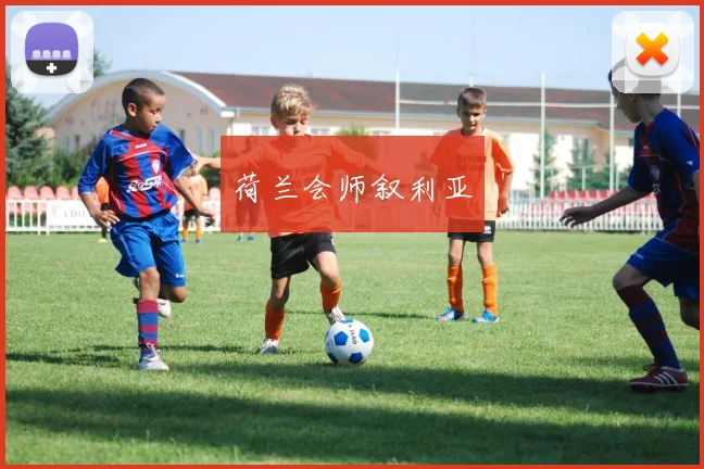 荷兰会师叙利亚