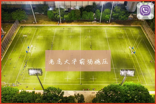 老虎大学前场施压