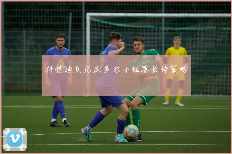 科特迪瓦厄瓜多尔小组赛长传策略