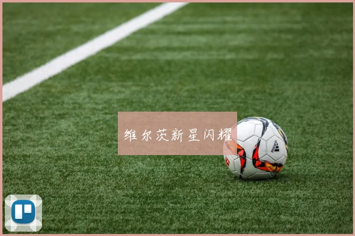 维尔茨新星闪耀