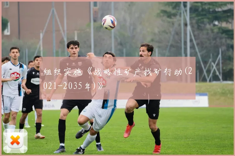 组织实施《战略性矿产找矿行动(2021-2035年)》