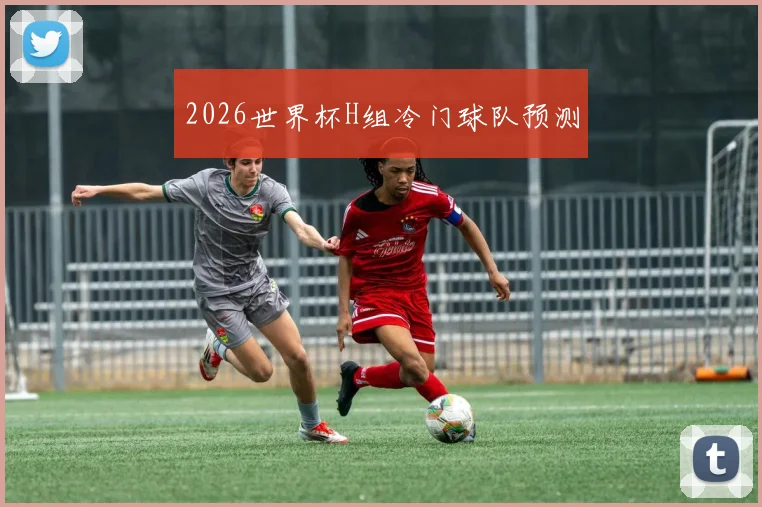 2026世界杯H组冷门球队预测