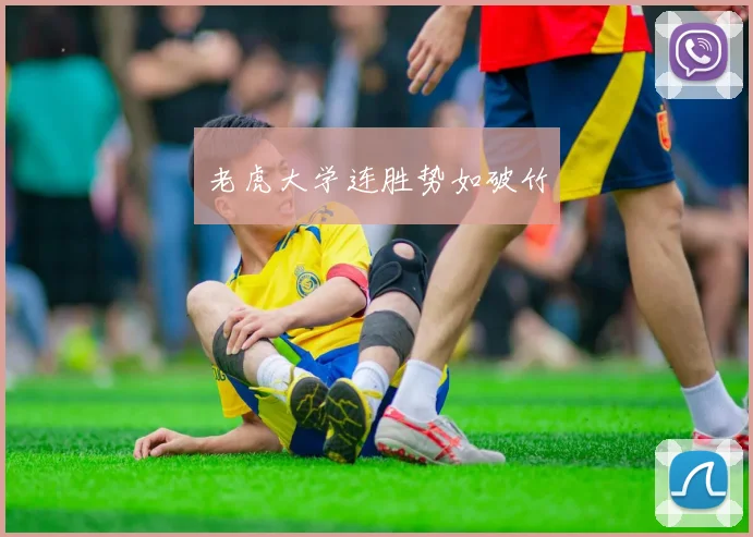 老虎大学连胜势如破竹