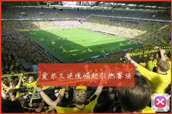 爱尔兰逆境崛起引燃赛场