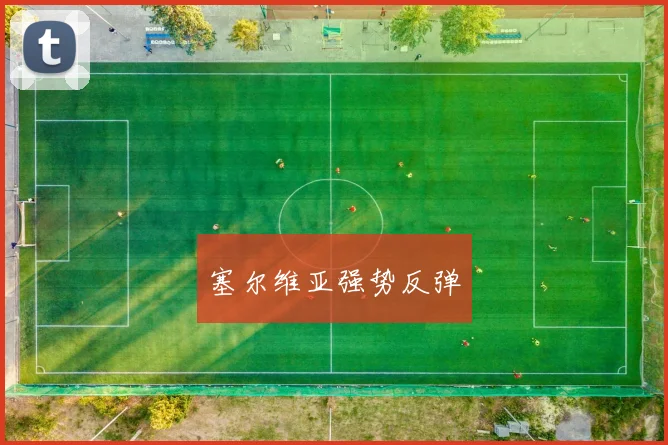 塞尔维亚强势反弹