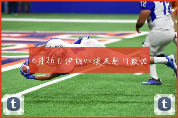 6月26日伊朗vs埃及射门数据