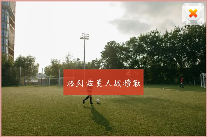 格列兹曼大战穆勒