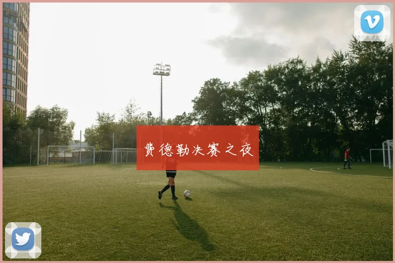 费德勒决赛之夜