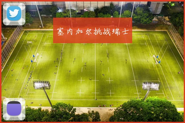 塞内加尔挑战瑞士