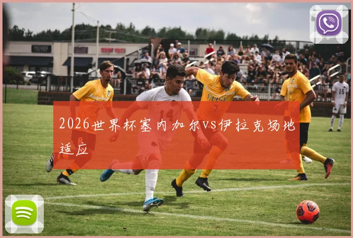 2026世界杯塞内加尔vs伊拉克场地适应