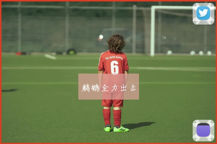 鹈鹕全力出击