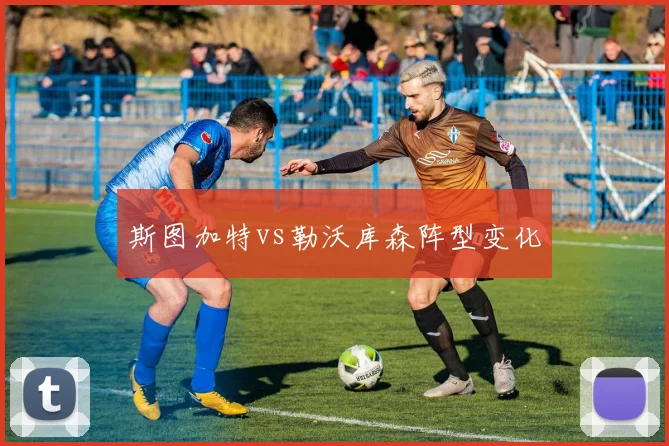 斯图加特vs勒沃库森阵型变化