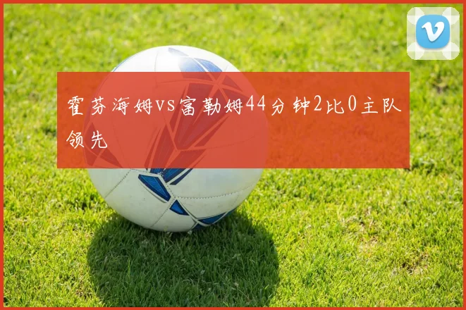 霍芬海姆vs富勒姆44分钟2比0主队领先