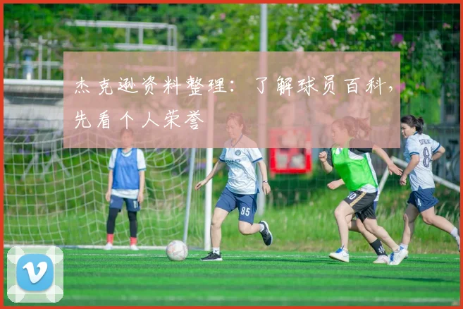 杰克逊资料整理:了解球员百科,先看个人荣誉