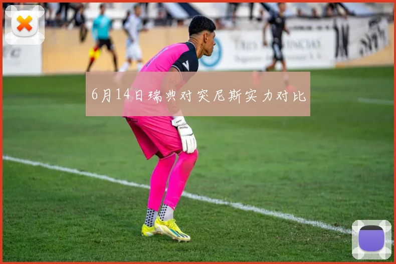 6月14日瑞典对突尼斯实力对比